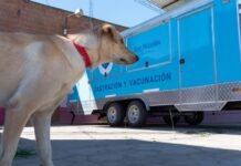 El tráiler de Salud Animal llega a Conesa con castraciones y vacunación gratuita
