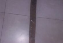 Dos detenidos tras una pelea en la vía pública y agresión a la Policía