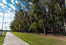 Robo de una camioneta y asalto en una plaza