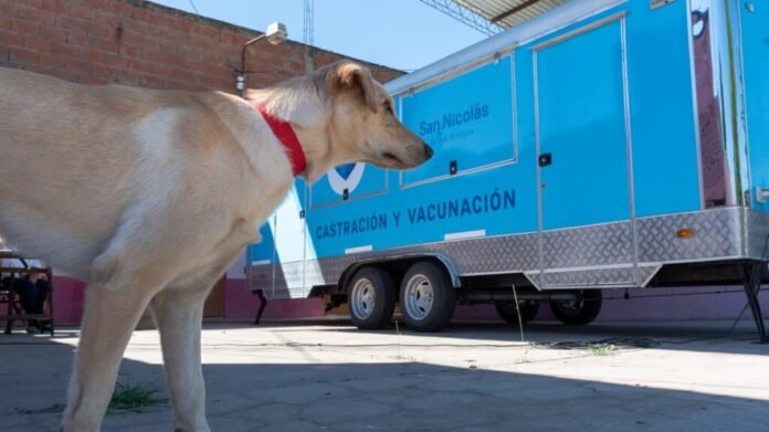 El tráiler de castración y vacunación llega a Mosconi y Colombini: días, horarios y requisitos