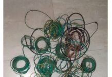 Fueron sorprendidos mientras intentaban robar cables del alumbrado público